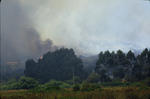 Foto, Bild: Waldbrand bis zum Gehft