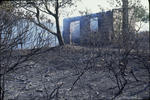Foto, Bild: Nach dem Waldbrand bleibt eine Hausruine zurck