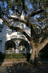 Foto, Bild: Villa in der Altstadt von Charleston