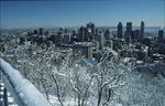 Foto, Bild: Blick vom Mont Royal über die City von Montreal im Winter