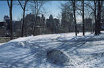 Foto, Bild: Parc du Mont-Royal im Winter