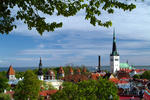 Foto, Bild: Blick vom Domberg auf die Unterstadt mit Stadtmauer und Olaikirche