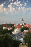 Foto, Bild: Blick vom Domberg auf die Unterstadt mit Stadtmauer und Olaikirche