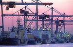 Foto, Bild: Feederschiffe am Eurogate Container Terminal Hamburg im Abendlicht