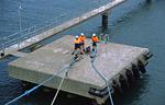 Hafenarbeiter im Port of Newcastle (Australien) lsen die Schiffstaue