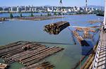 Holzumschlag, Baumstmme, Flo, Verladung von ganzen Baumstmmen im Holzhafen Fraser Port bei Vancouver, Kanada