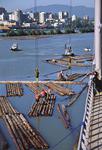 Holzumschlag, Baumstmme, Flo, Verladung von ganzen Baumstmmen im Holzhafen Fraser Port bei Vancouver, Kanada