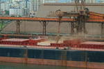 Foto, Bild: Massengutfrachter (Bulker, Bulk Carrier) in Santos, Port of Santos, Brasilien