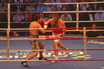 Foto, Bild: Boxkampf am 2-Juli-05 in der Colorline Arena life im ZDF