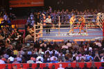 Foto, Bild: Boxkampf am 2-Juli-05 in der Colorline Arena life im ZDF