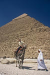 Foto, Bild: vor der Chefrenpyramide versucht ein Tourist mit  einem Kamel aufzustehen