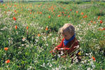 Foto, Bild: Mdchen in Blumenwiese auf Mallorca