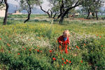 Foto, Bild: Mdchen in Blumenwiese  auf Mallorca