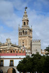 Foto, Bild: Die 97 m hohe Giralda, ein umgebautes von 1184 bis 1196 errichtetes Minarett