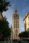 Foto, Bild: Die 97 m hohe Giralda, ein umgebautes von 1184 bis 1196 errichtetes Minarett