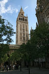 Foto, Bild: Die 97 m hohe Giralda und der von den Mauren angelegte Orangenhof