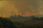 Foto, Bild: Waldbrand ist nicht zu lschen