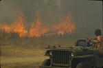 Foto, Bild: Waldbrand ist nicht zu lschen