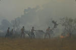 Foto, Bild: Badegste lschen den Waldbrand mit Zweigen