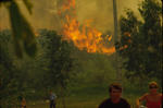 Foto, Bild: Menschen flüchten vor Waldbrand